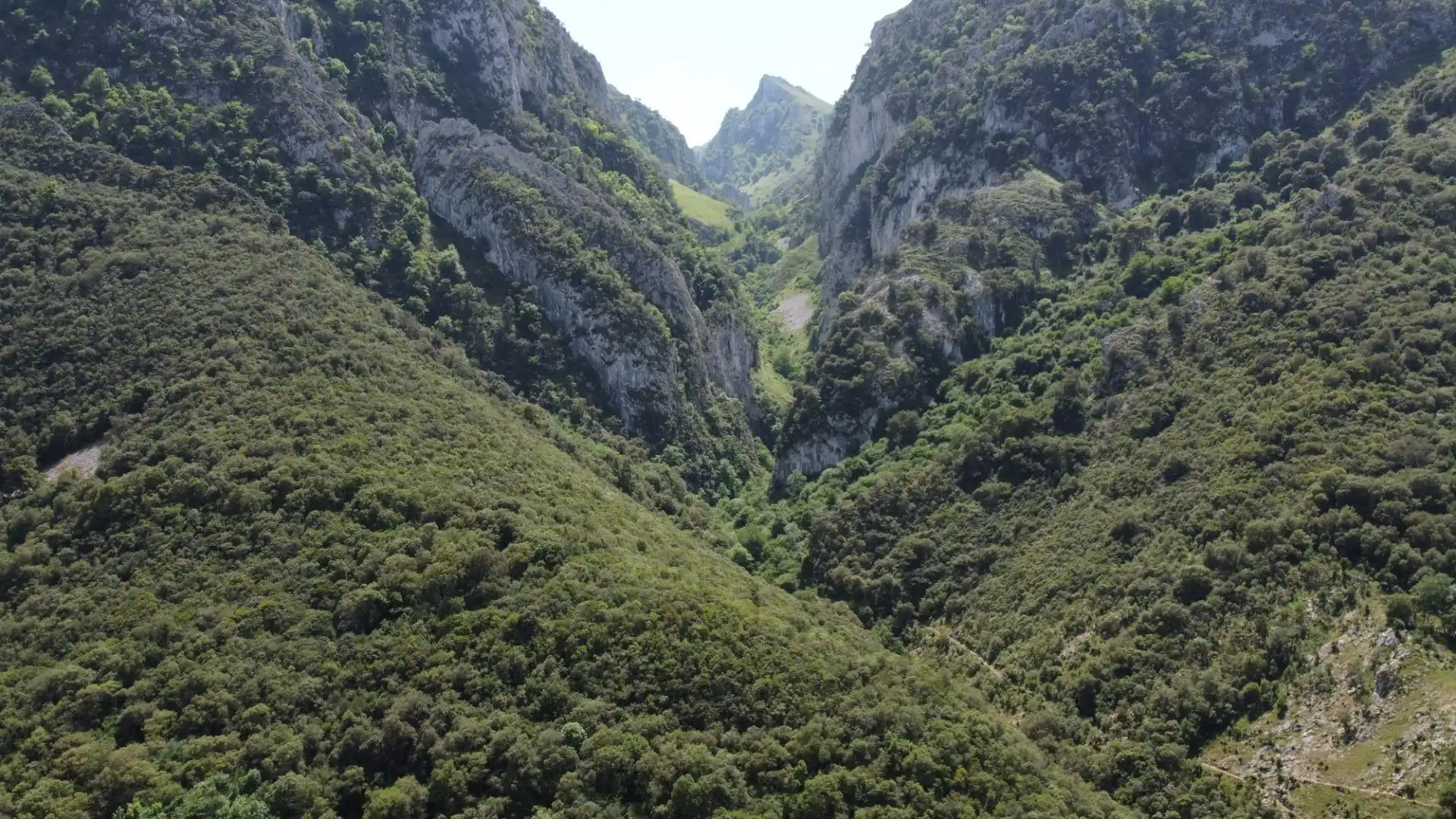 Vista exterior de Terreno en venta en Peñamellera Alta