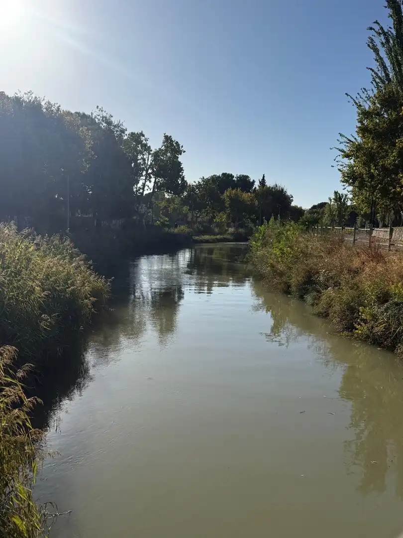 Terreno rustico in vendita a Paseo Paseo Canal 141, imagen 45