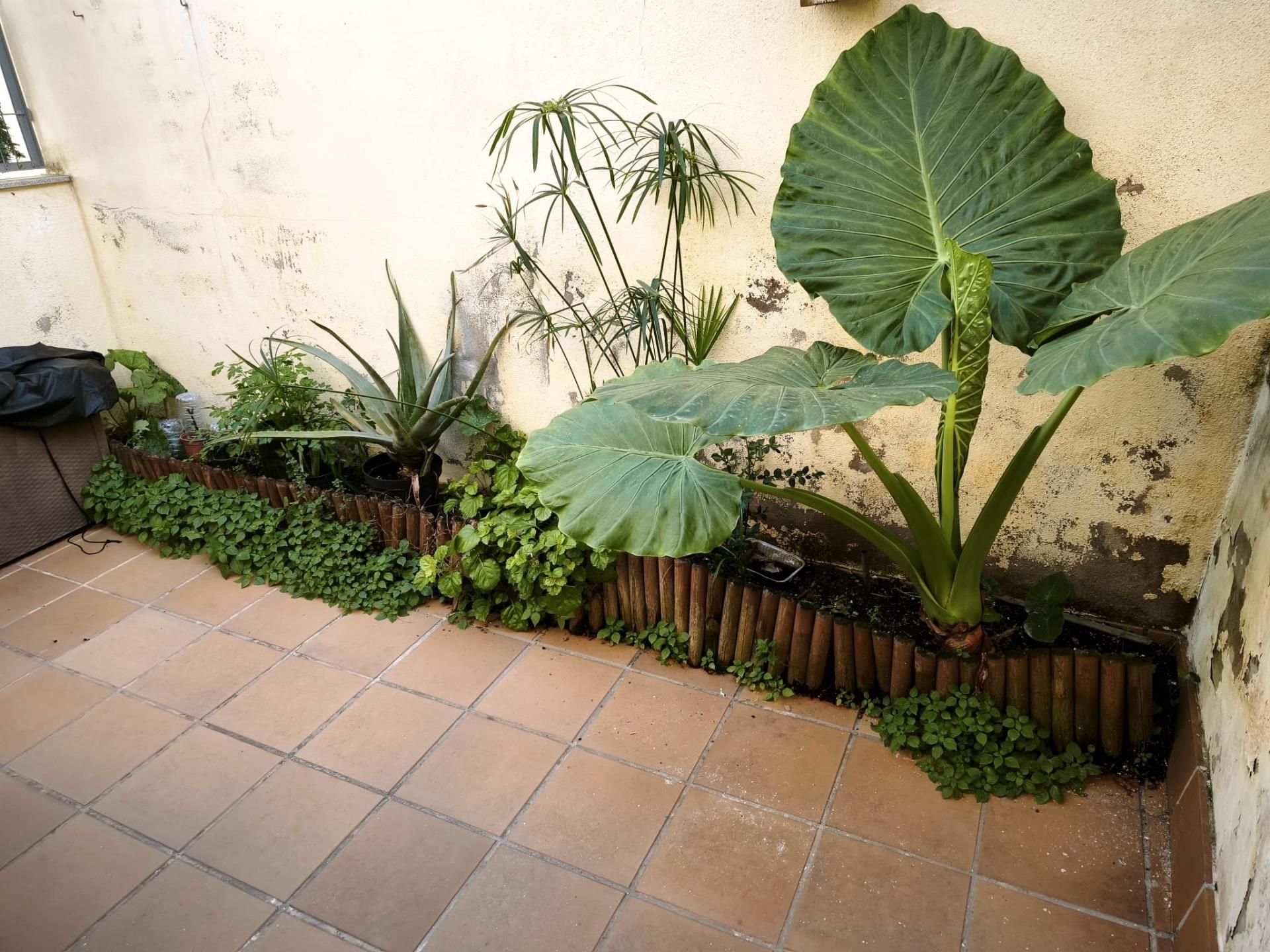 Garden of Flat for sale in Sant Llorenç d'Hortons  with Air Conditioner, Parquet flooring and Terrace