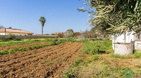 Foto 3 von Country house zum Verkauf in Caballero Bonald - San José Obrero - Guadalcacín, Jerez de la Frontera