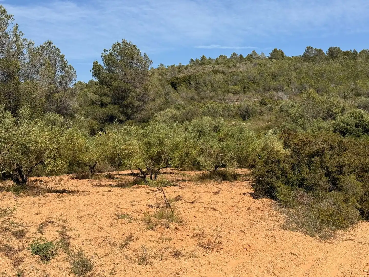 Finca rústica en venda a Vespella de Gaià