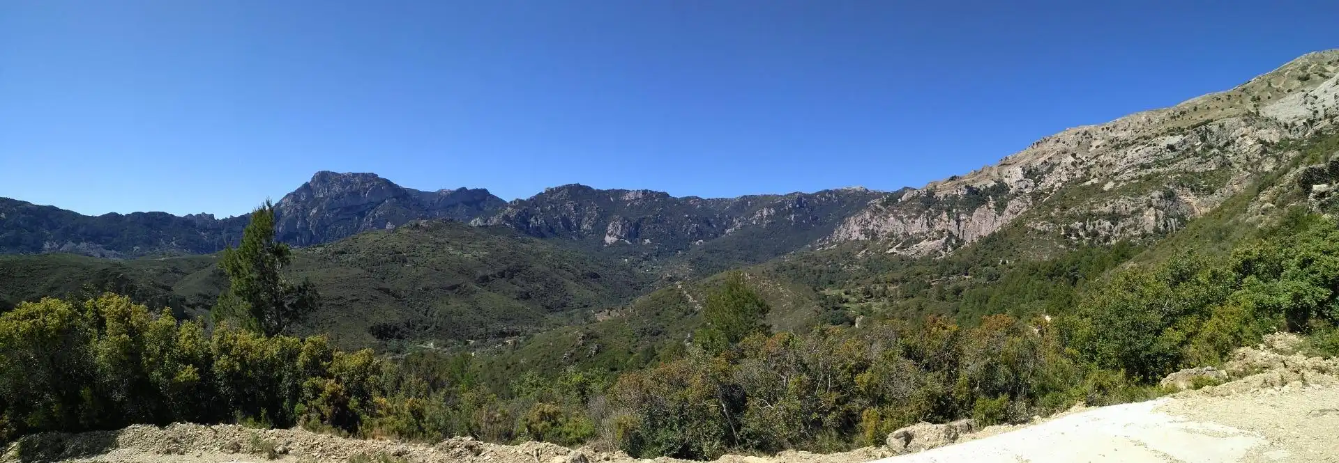 Vista exterior de Local en venda en Alfara de Carles amb Moblat