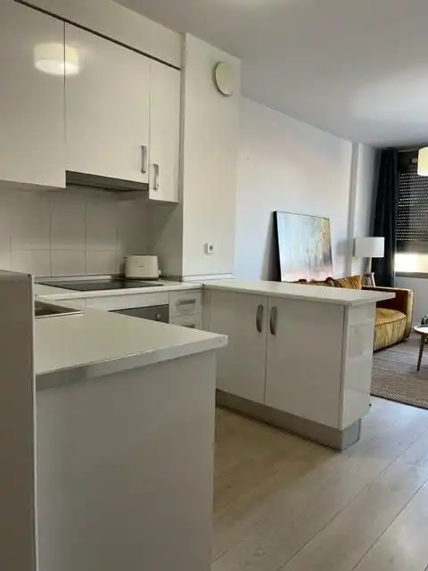 Studio mit Pool zur Miete in Pedanías Norte, imagen 5