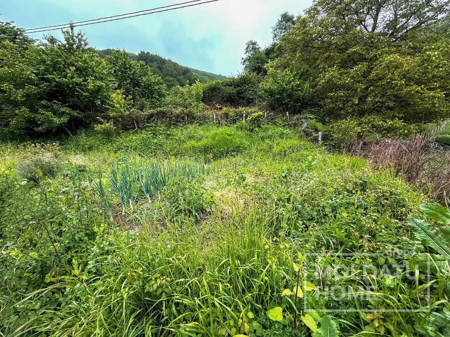 Maison avec jardin à vendre à Arratzua-Ubarrundia, imagen 91