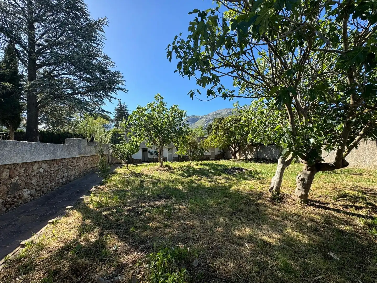 Jardí de Casa o xalet en venda en Villanueva del Rosario amb Aire condicionat, Jardí privat i Terrassa