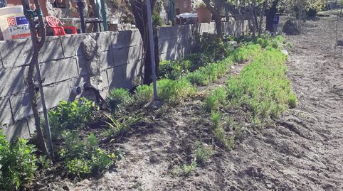 Foto 4 de Terreny en venda a Ex-203, 7, Jarandilla de la Vera, Cáceres