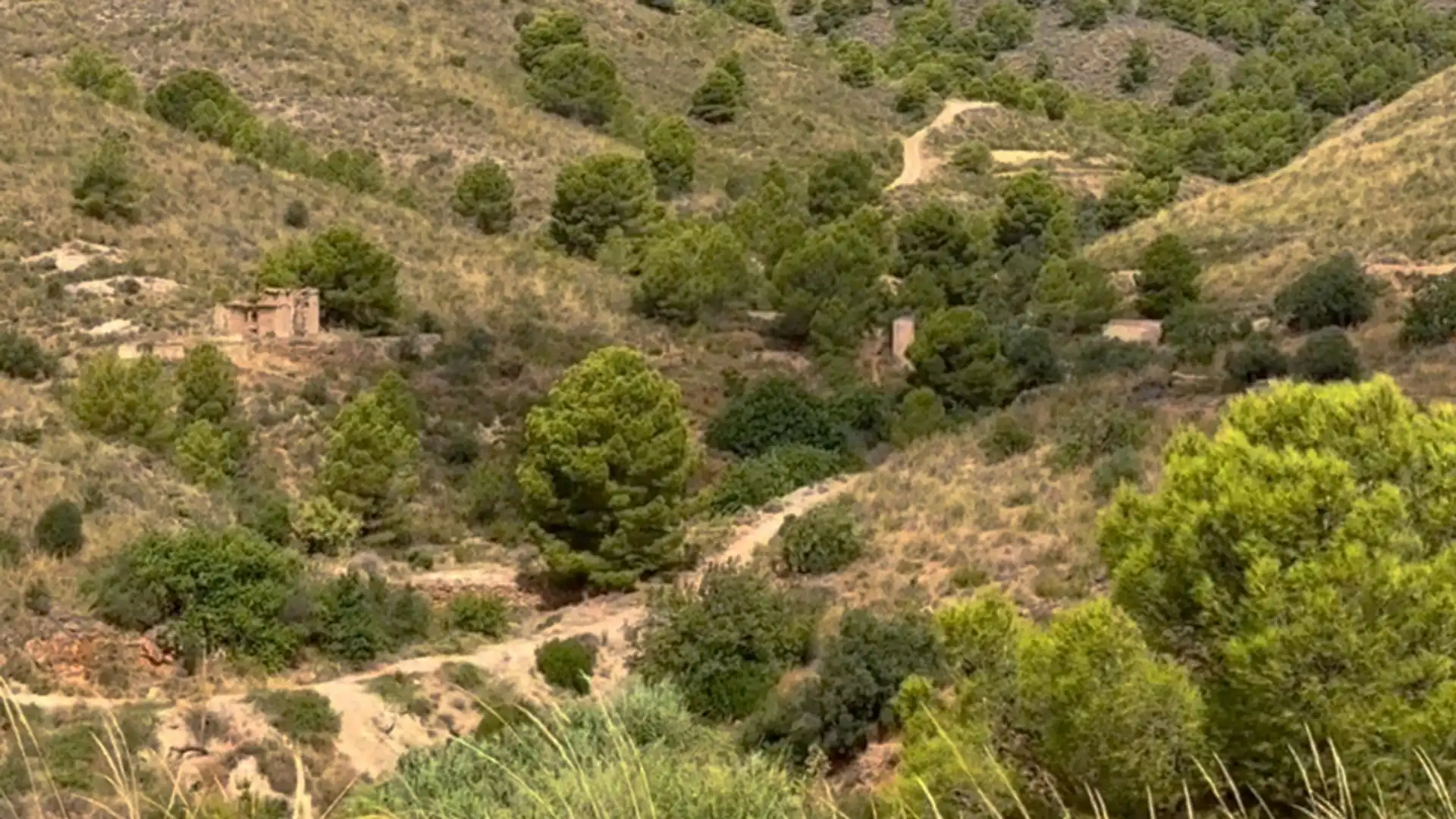 Exterior view of Country homes for sale in Lorca  with Private garden