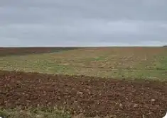 Terreni e lotti in vendita a Mengíbar