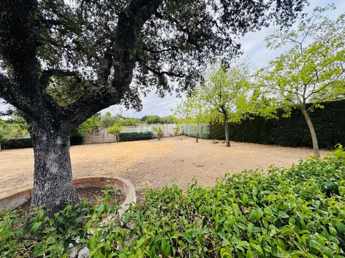 Jardí de Casa o xalet en venda en San Román de los Montes