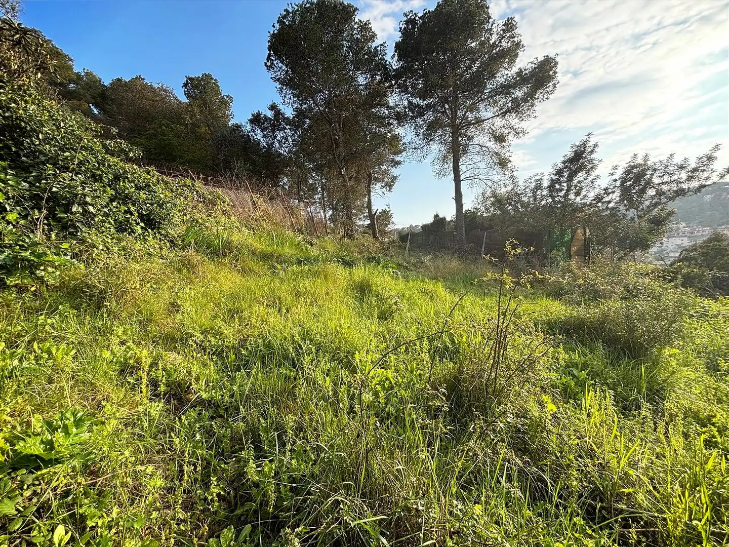 Terreno residencial en venta en Canyelles, imagen 21