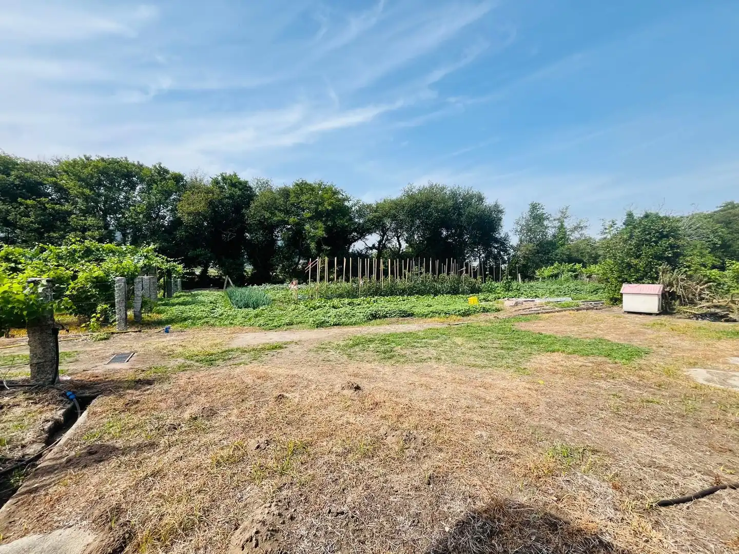 Finca rústica en venta en Ribadumia