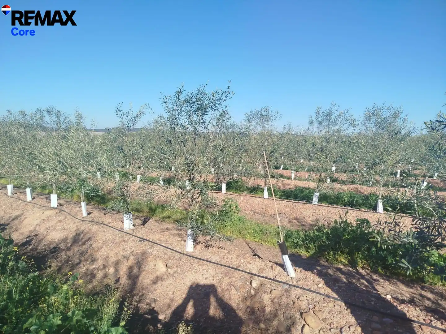 Garden of Land for sale in Mérida