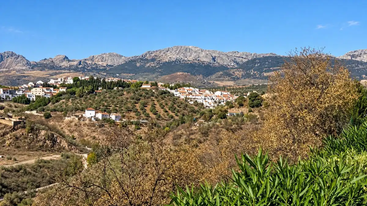 Vista exterior de Casa o xalet en venda en Colmenar amb Aire condicionat, Jardí privat i Terrassa