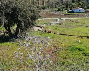 Land for sale in Alhaurín de la Torre