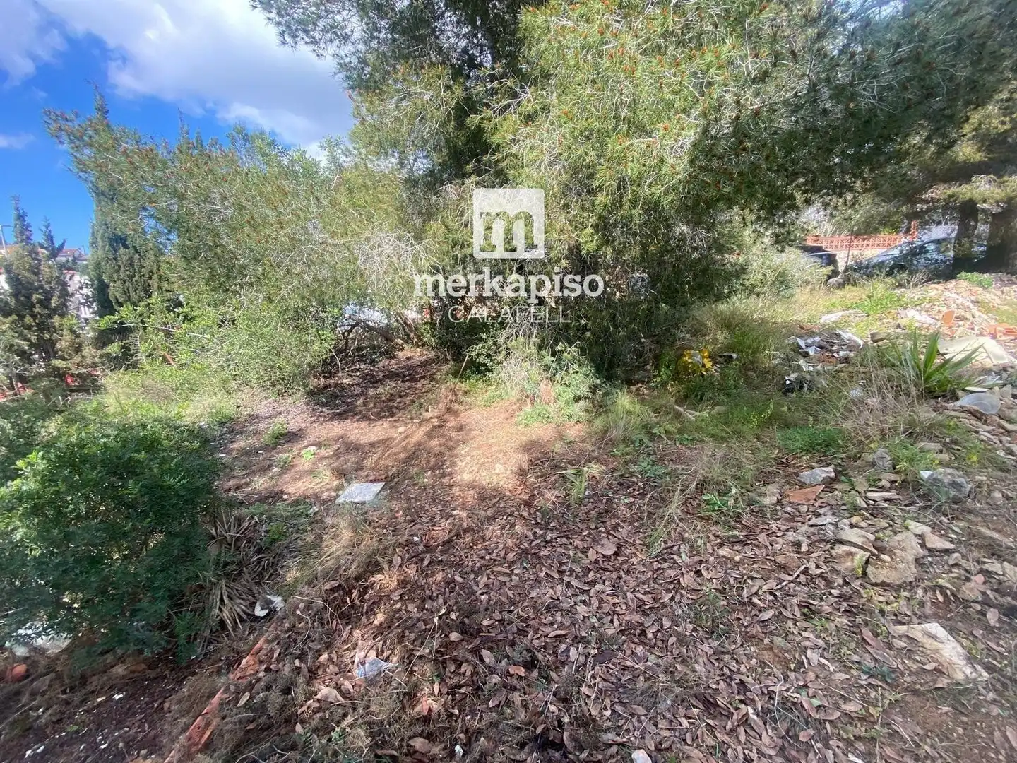 Terreny rústic en venda a Valldemar - Montmar, imagen 6
