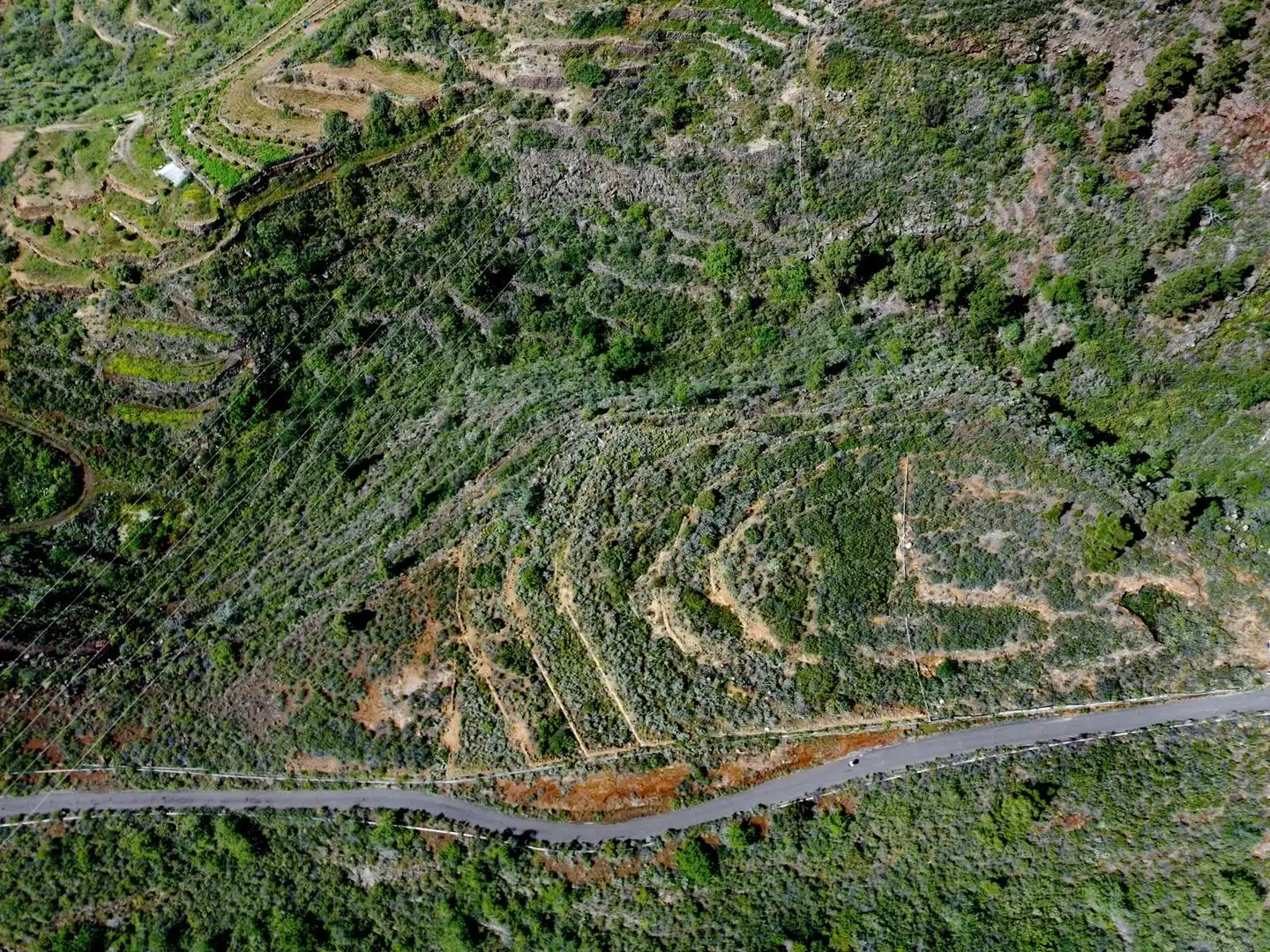 Rural land for sale in El Escobonal - Pájara, imagen 3