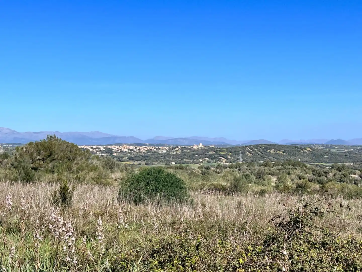 Finca rústica en venta en Petra