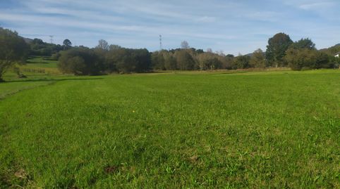 ESTUPENDA FINCA RUSTICA DE 2237 M2 ,NO EDIFICABLE,PARA DISFRUTAR DE FINES DE SEMANA O TENER TU HUERTA DONDE DESCONECTAR DEL BULLIC, imatge 3