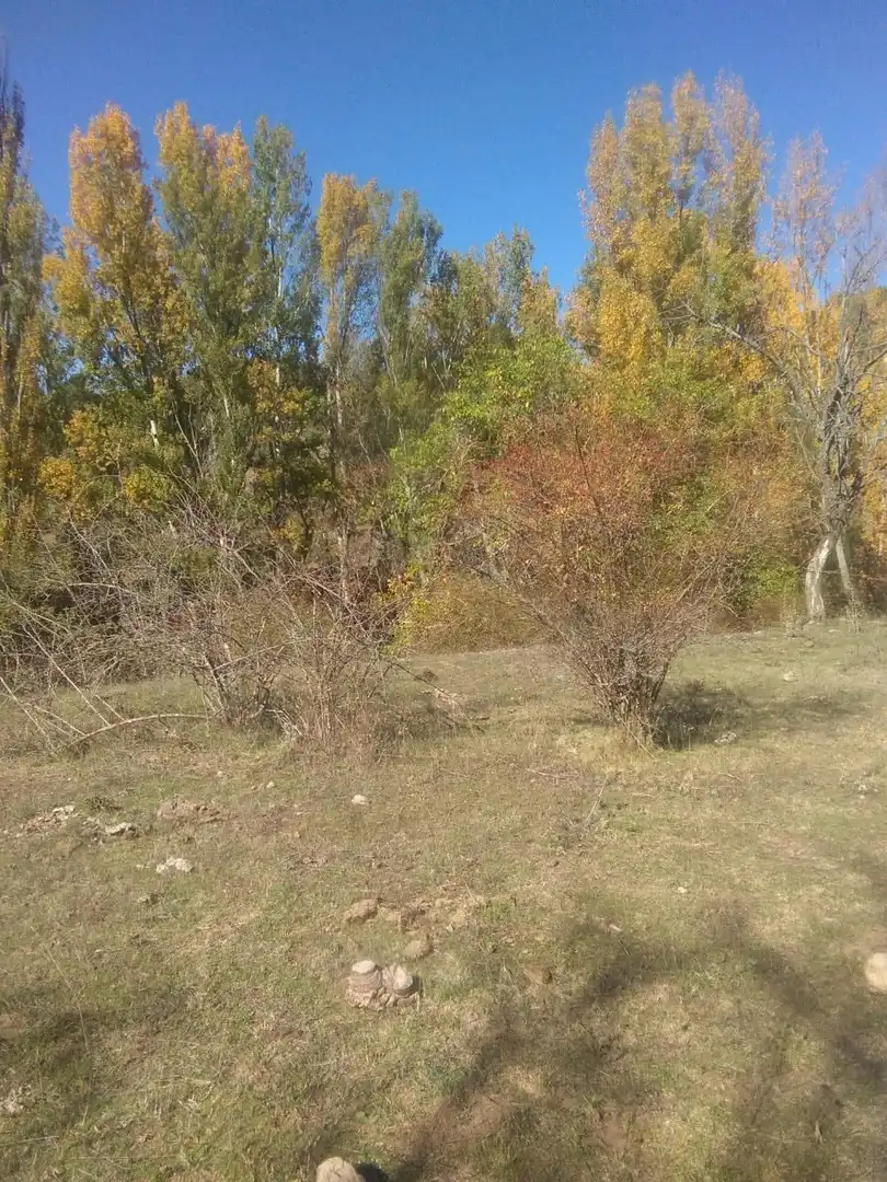 Houses for sale in Morella  with Storage room