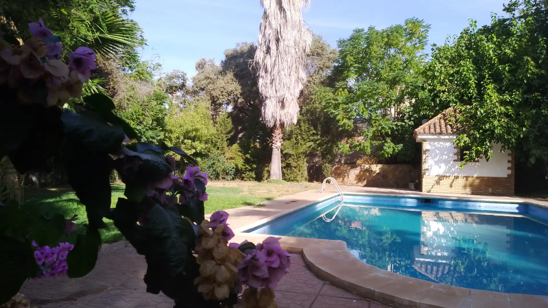 Casa o xalet en venda a Calle Amalia Rodrigues, Paraíso Arenal - La Colina