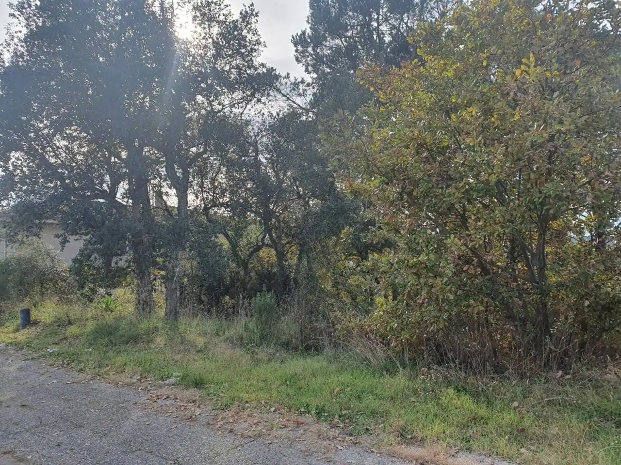 Terreny rústic en venda a Calle PLA DEL ESTANY, imagen 9
