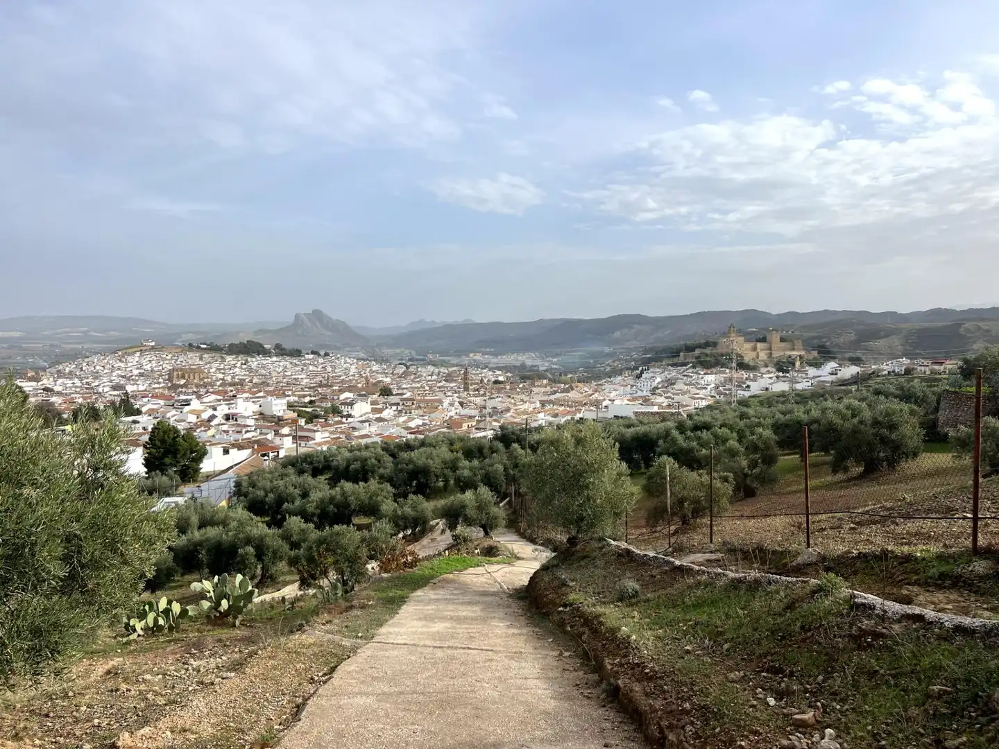 Finca rústica en venta en Centro