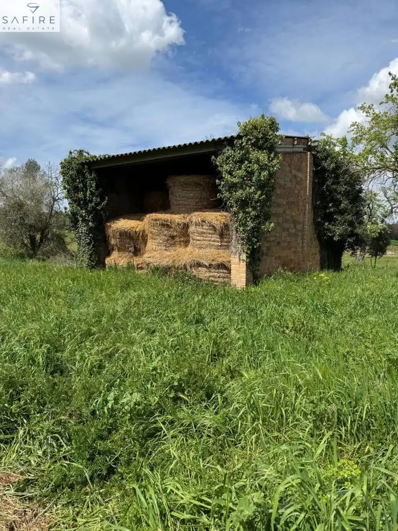 Vista exterior de Finca rústica en venda en Aiguaviva amb Traster