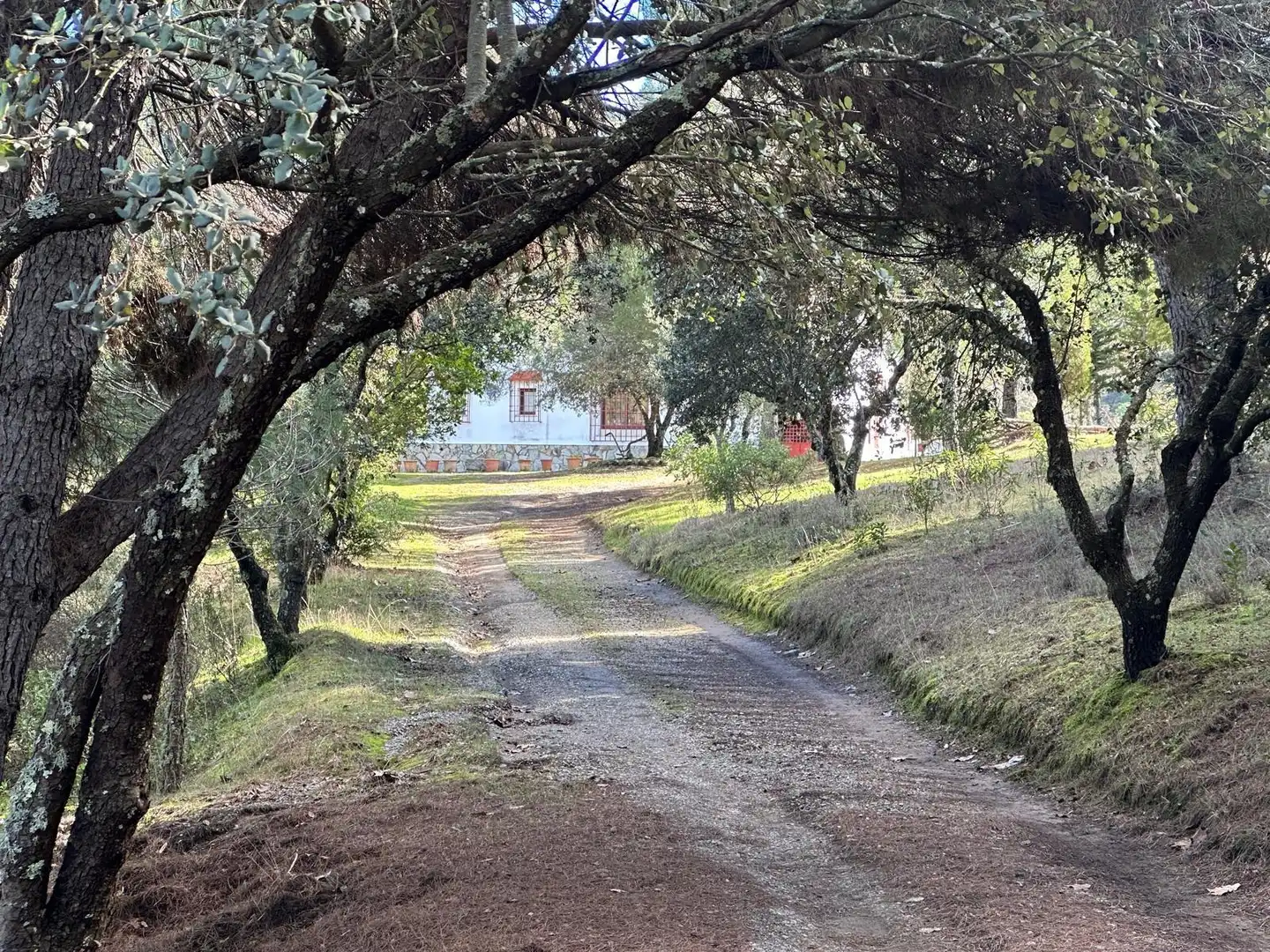 Vista exterior de Casa o chalet en venta en Villaviciosa de Córdoba con Calefacción, Jardín privado y Terraza