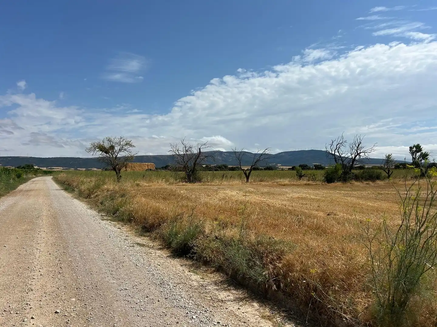 Terreny rústic en venda a 123 poligono 3, imagen 22