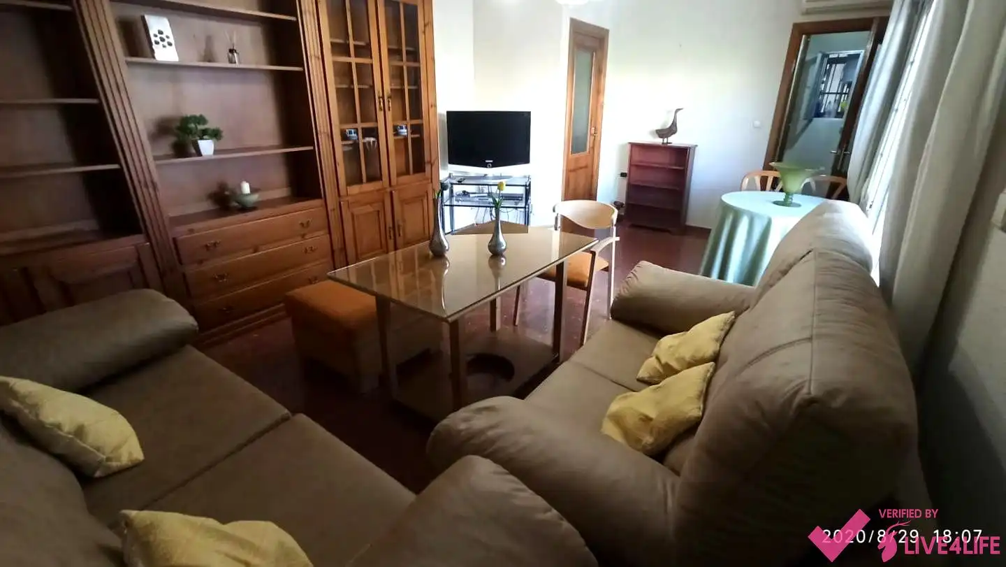 Sala de estar de Piso de alquiler en Granada con Aire acondicionado, Calefacción y Terraza