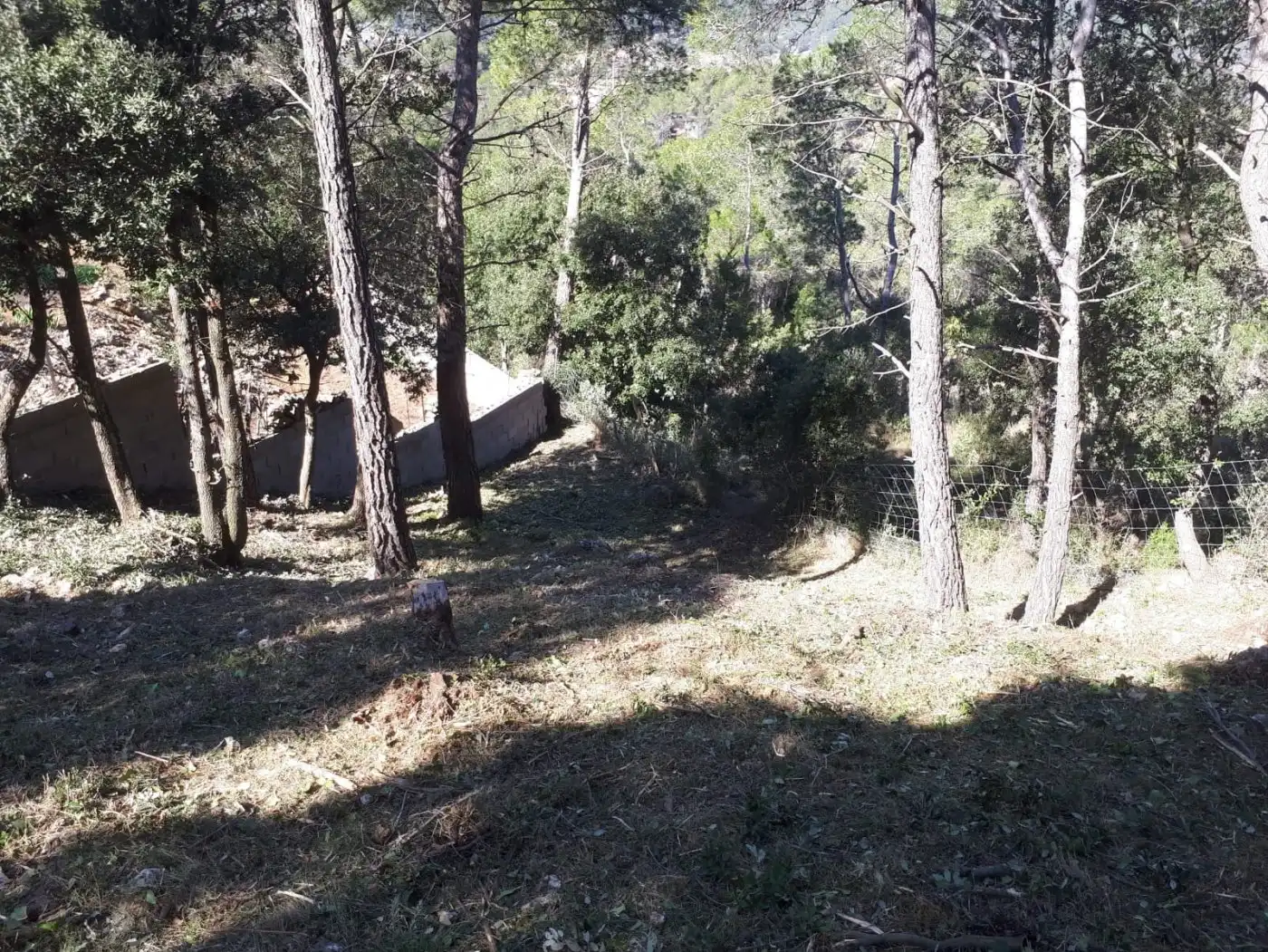 Terreno residenziale in vendita a Torrelles de Foix