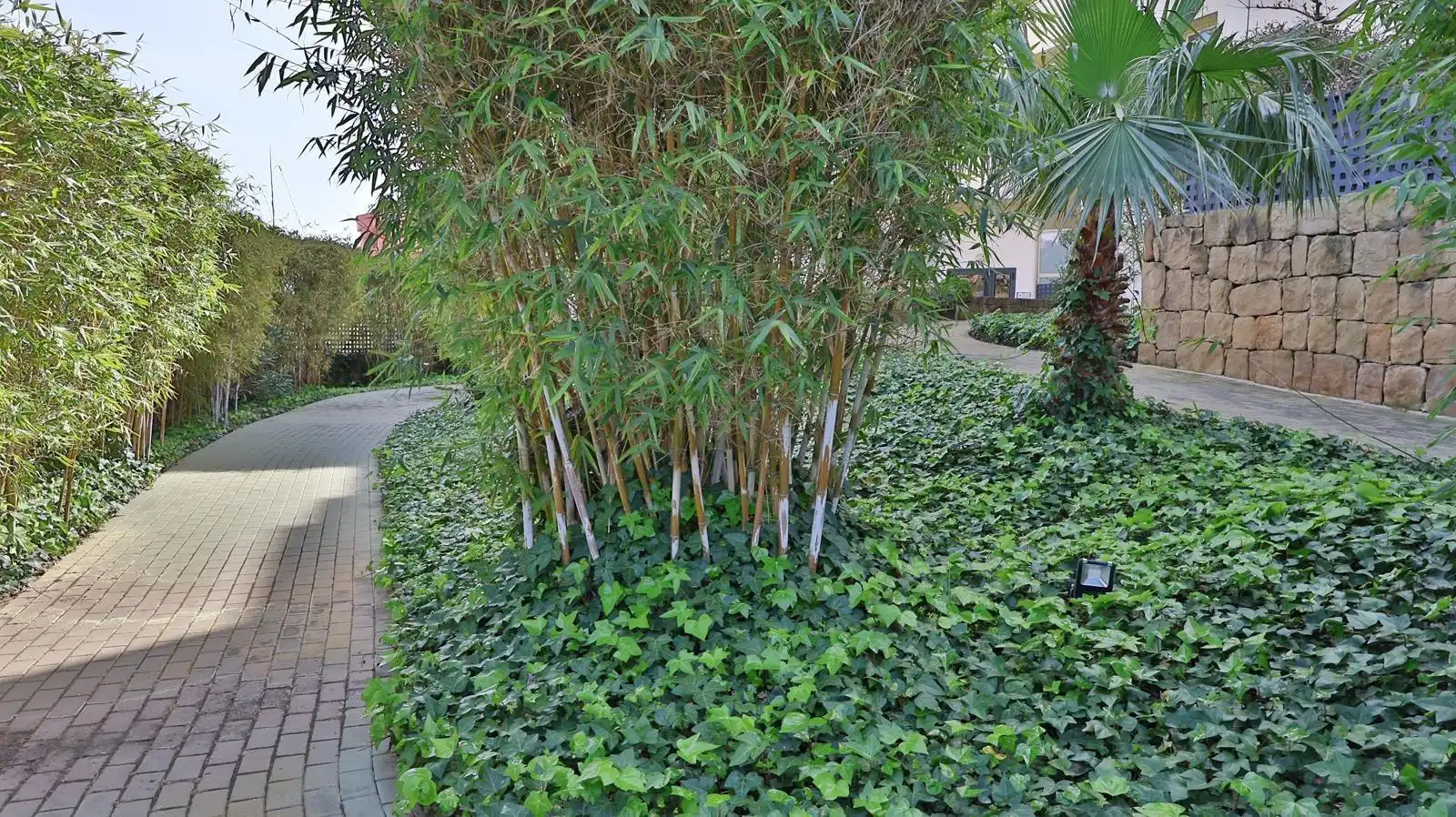 Piso con piscina en venta en Calle ACEBO DE COSMOPOLIS, imagen 50