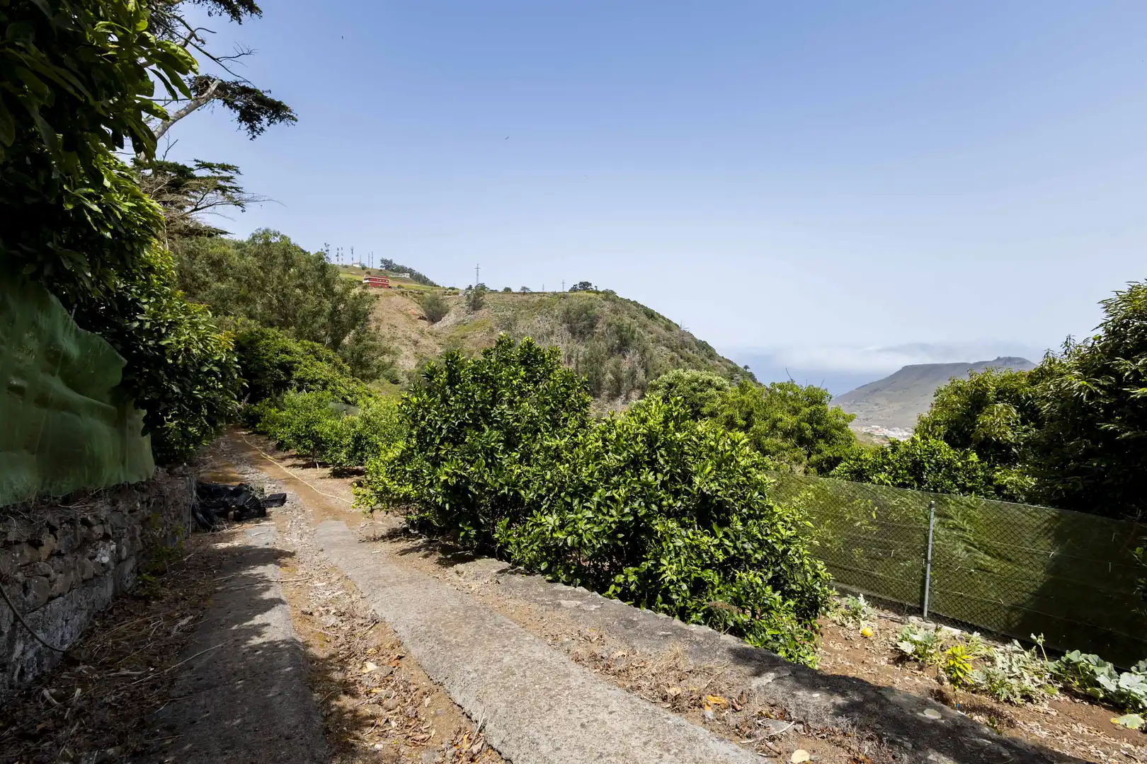 Rural land for sale in Tegueste, imagen 26