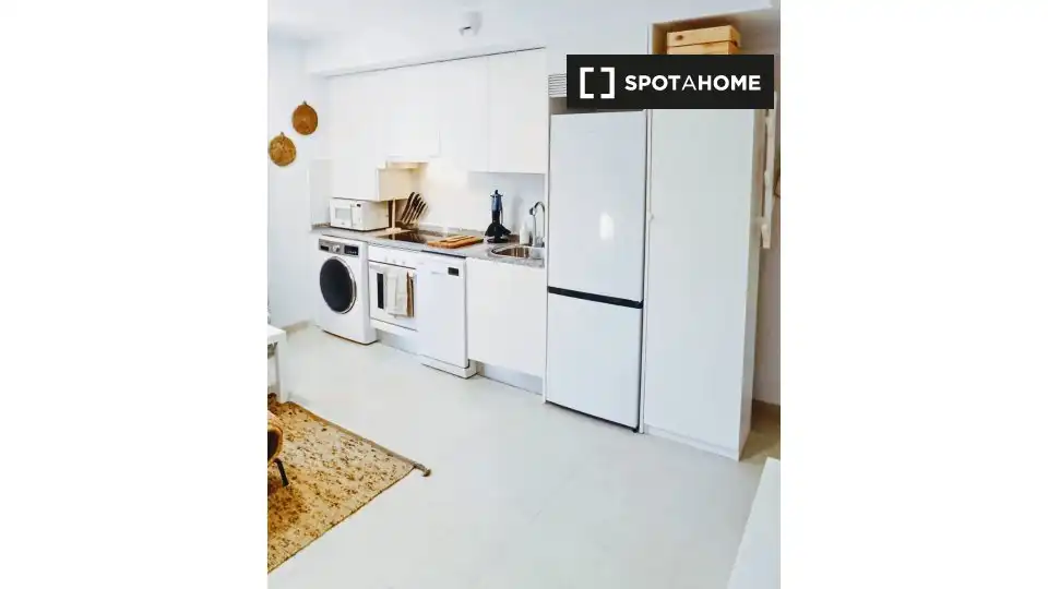 Piso de 1 dormitorio en alquiler en Berruguete, Madrid, image 4