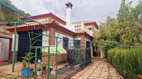 🌴 PRECIOSA FINCA CON CASA, OLIVOS Y FRUTALES JUNTO AL MOLINO LA NAVA