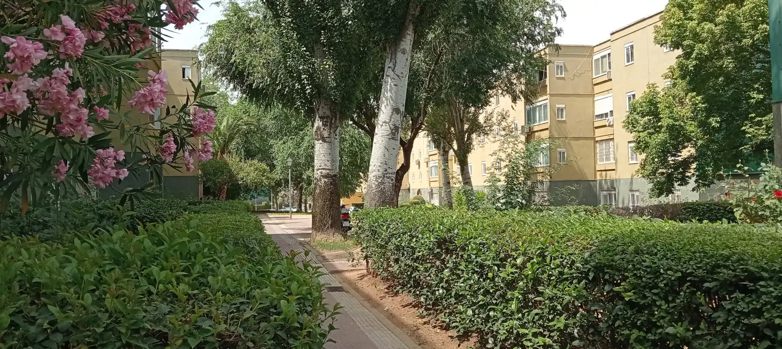 Vista exterior de Piso en venta en Mejorada del Campo con Calefacción y Amueblado