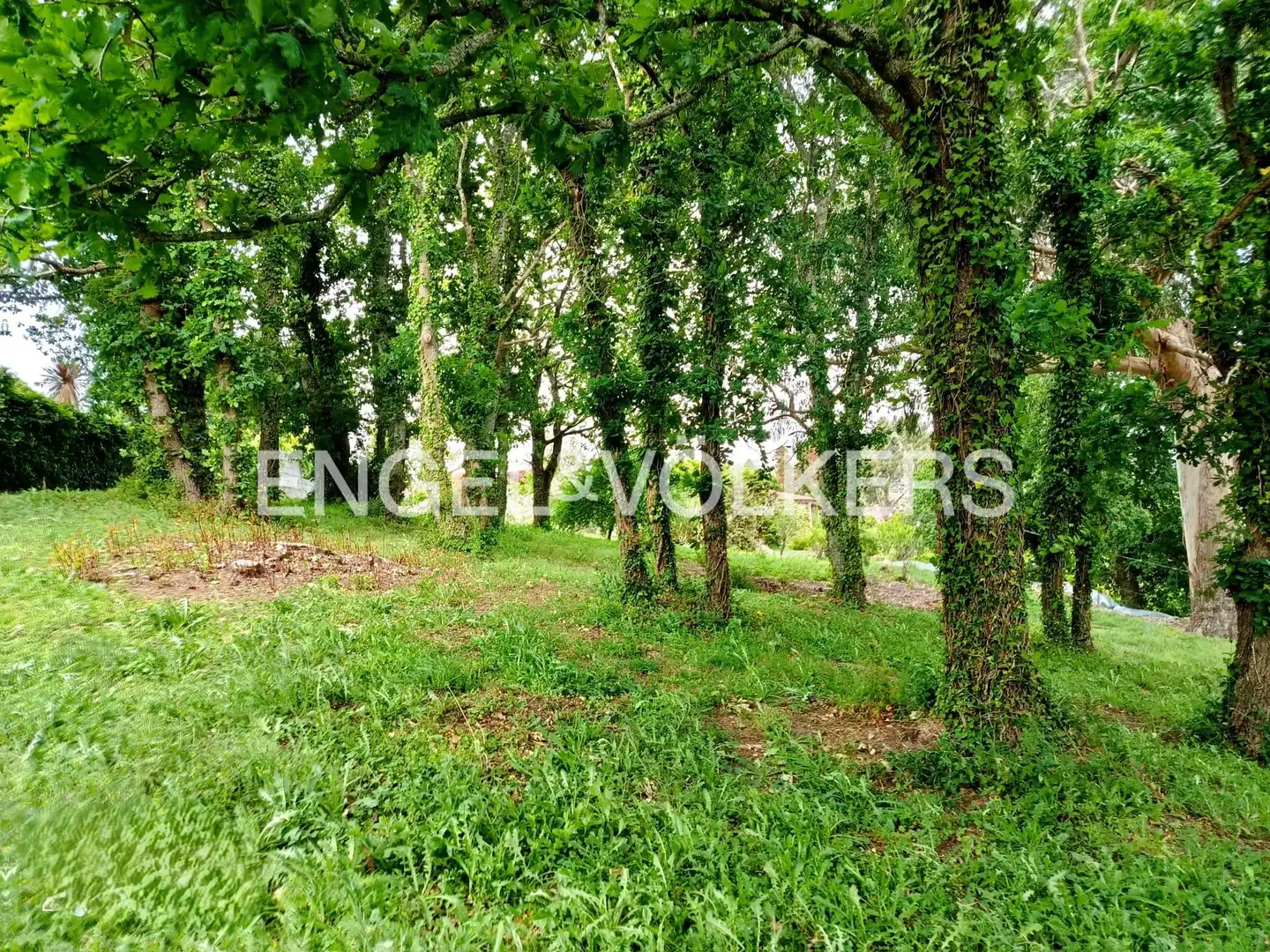 Casa con jardín en venta en Camiño do Pardiñeiro, imagen 15