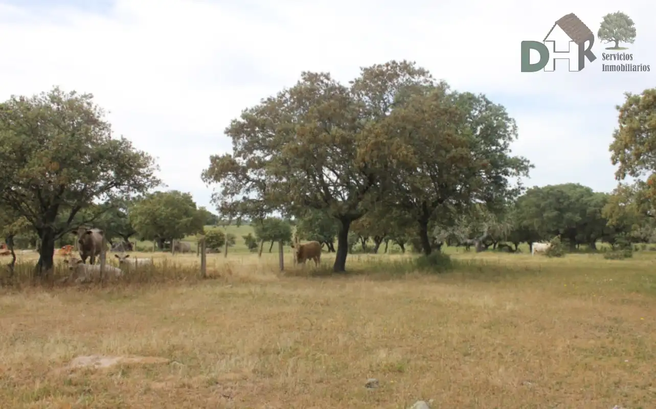 Residencial en venda a Universidad - Tenerías