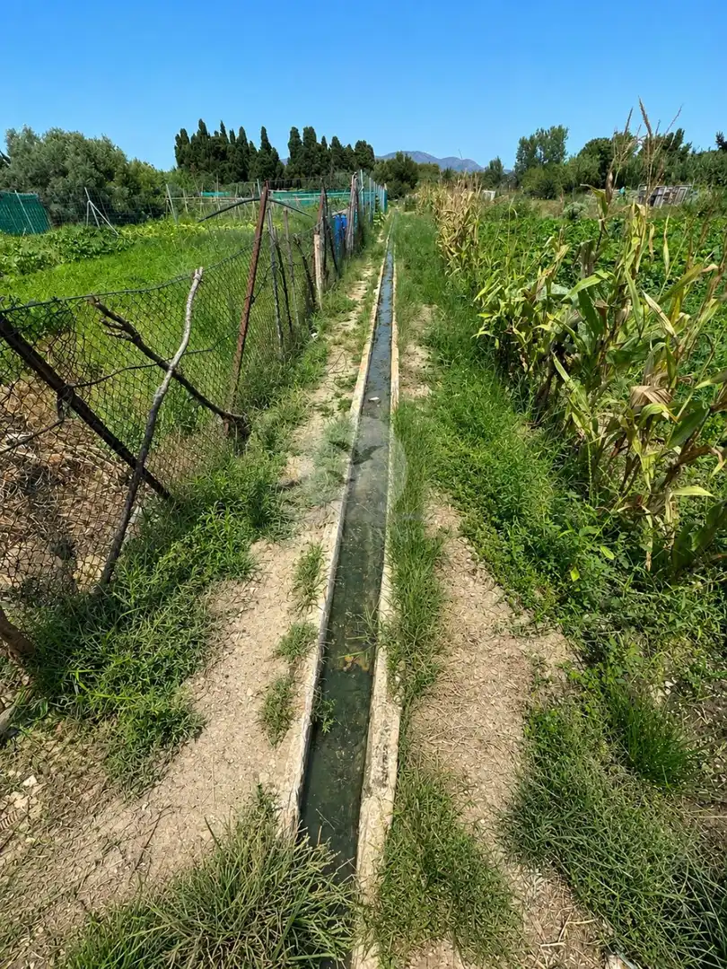 Terreno rustico in vendita a Castelló d'Empúries, imagen 7