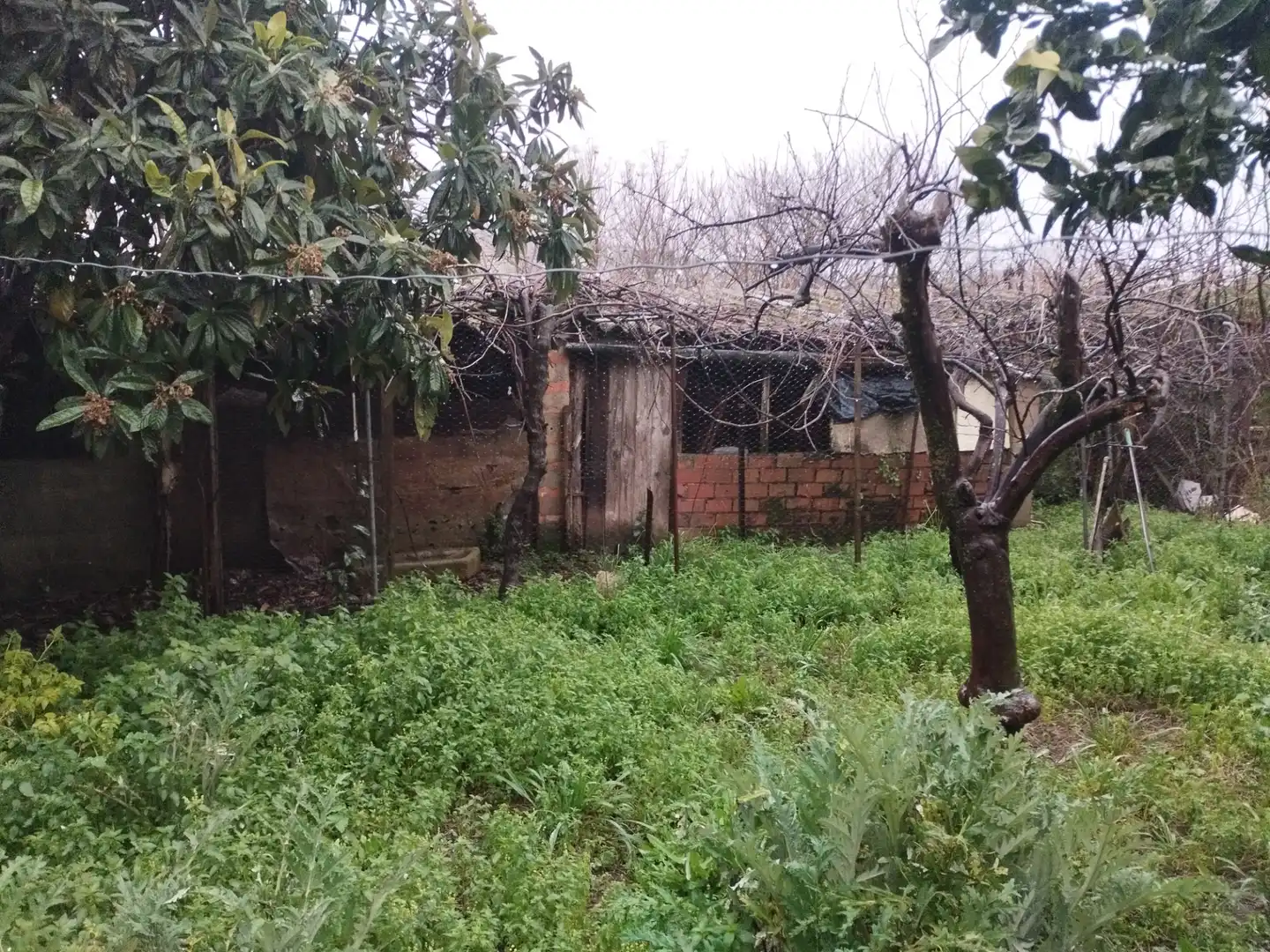 Planta baja en venta en Jerez de los Caballeros con Jardín privado y Trastero