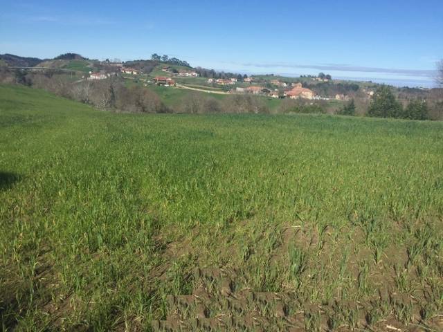 Terreno residencial en Venta en Lamadrid - Bº Argüedes en Valdáliga