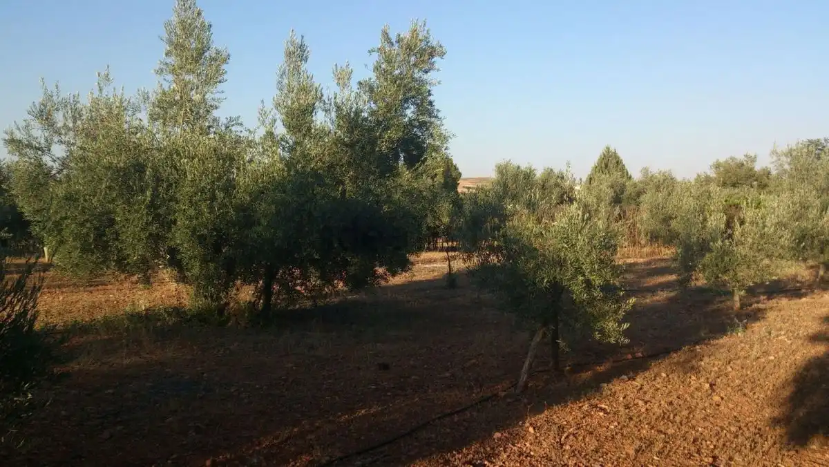 Casa rústica en venda a Valdepeñas, imagen 36