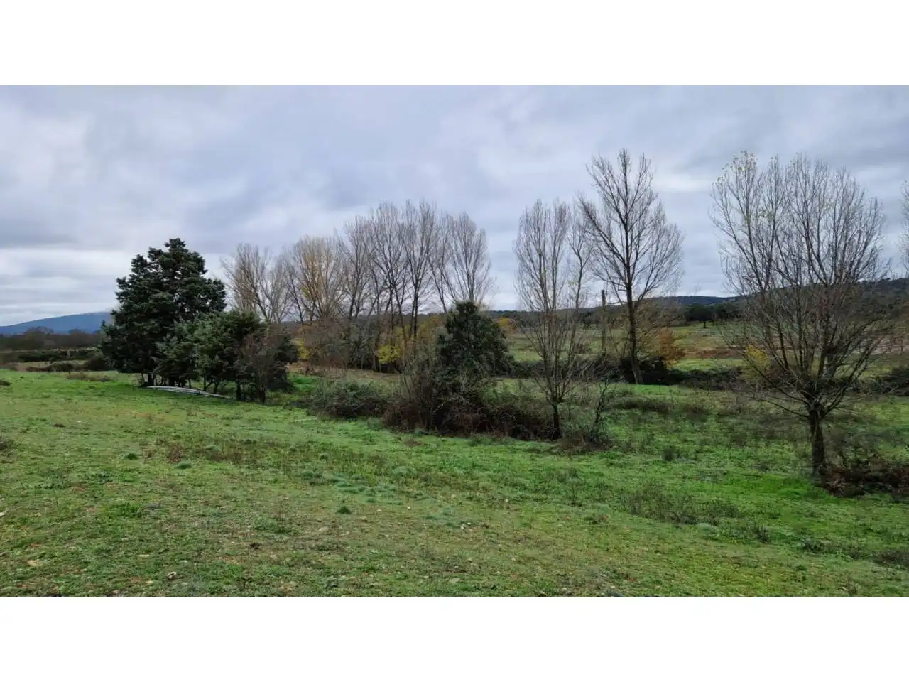 Terreno residenziale in vendita a Poligono 24 46, imagen 16