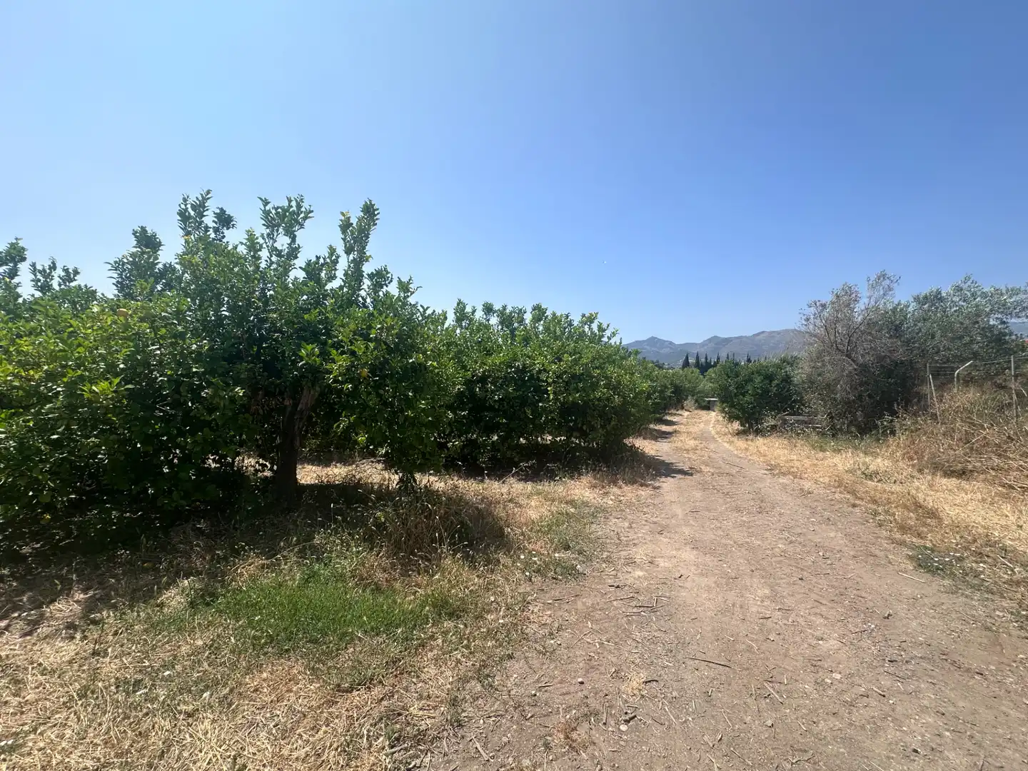 Terreno rustico in vendita a Buenavista - Lauro Golf, imagen 7