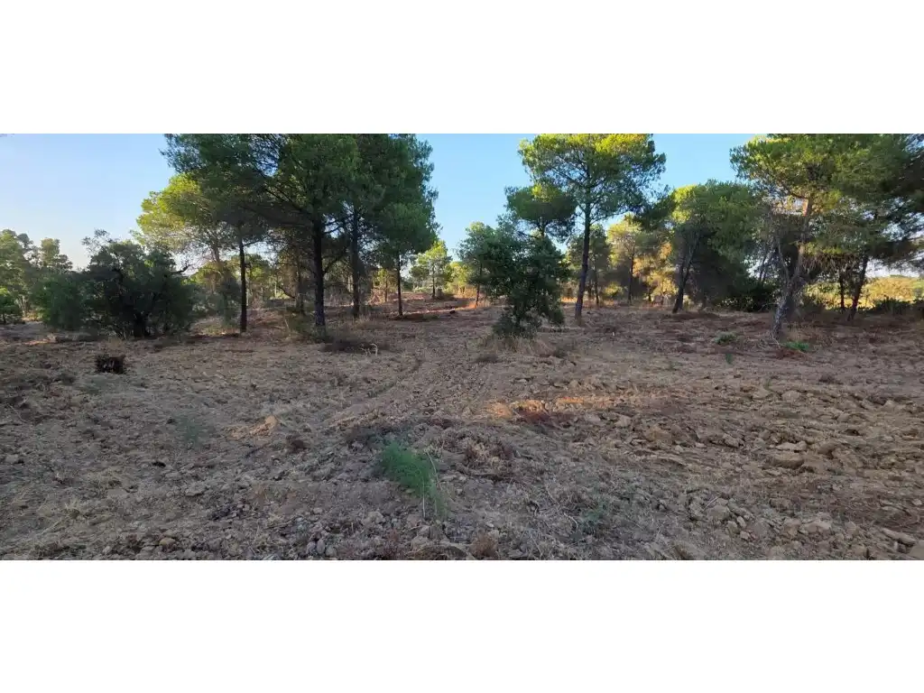 Terreny residencial en venda a Villablanca
