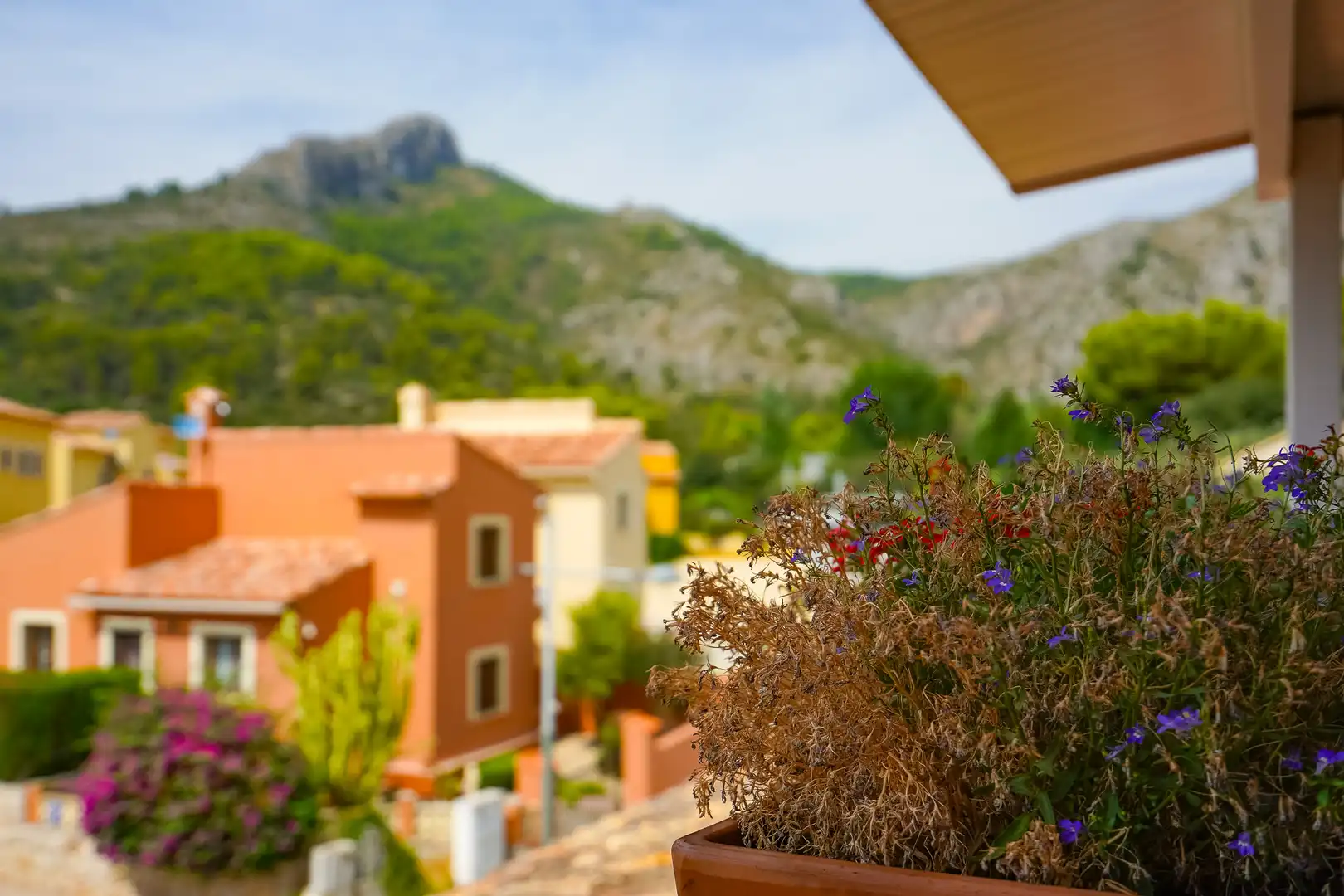 Balcony of Commercial properties for sale in Sagra