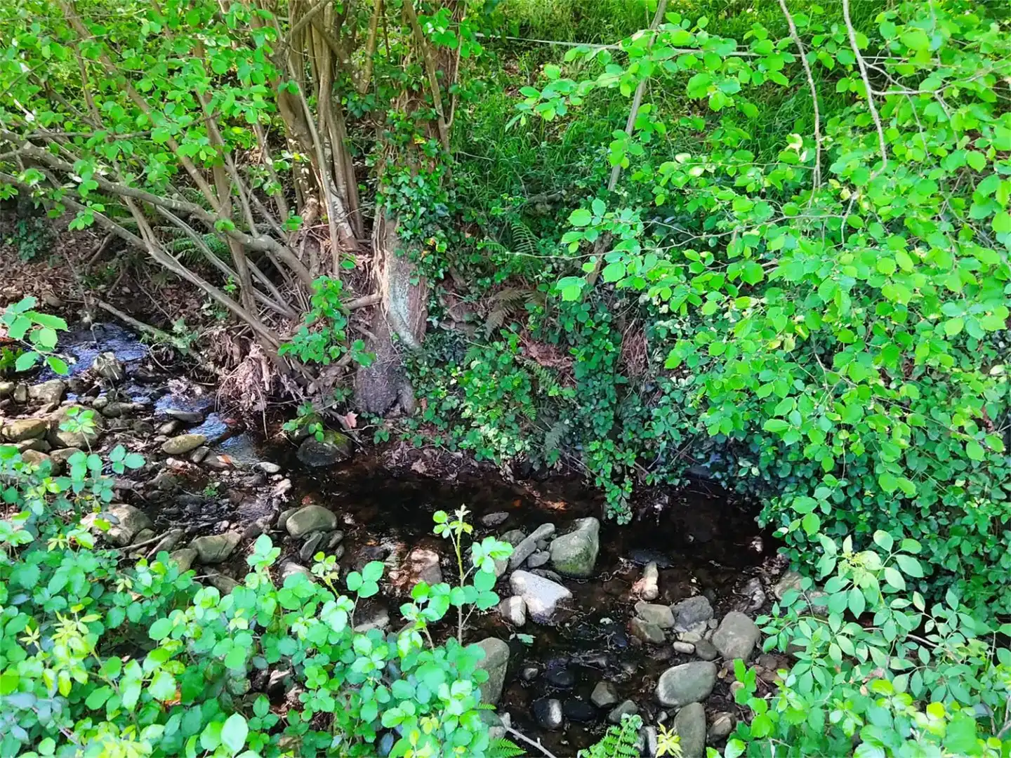 Außenansicht von Grundstücke zum Verkauf in Idiazabal