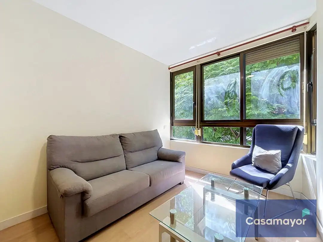 Living room of Flat for sale in Alicante / Alacant  with Oven, Washing machine and Microwave