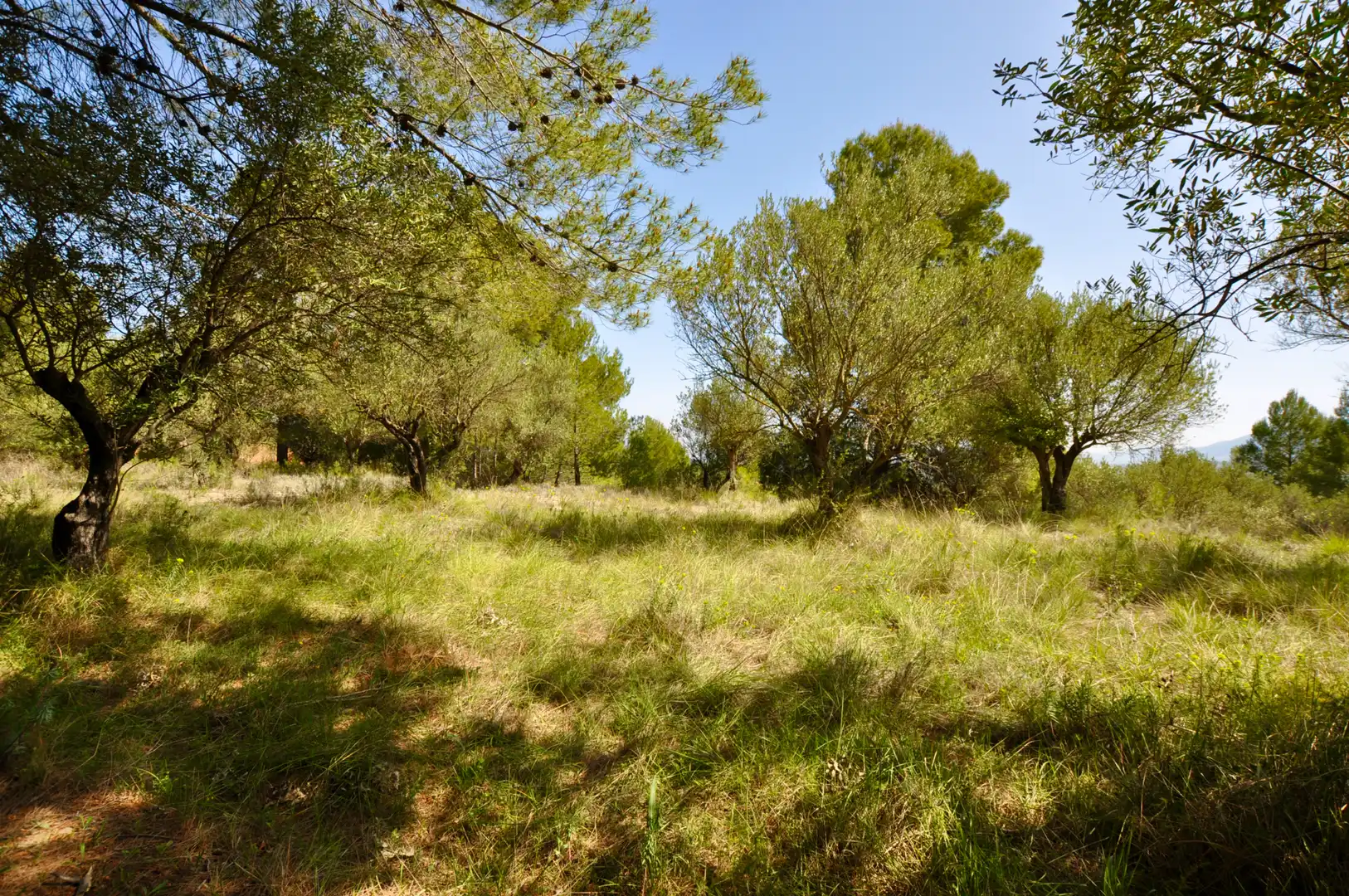 Residential zum Verkauf in Muro de Alcoy
