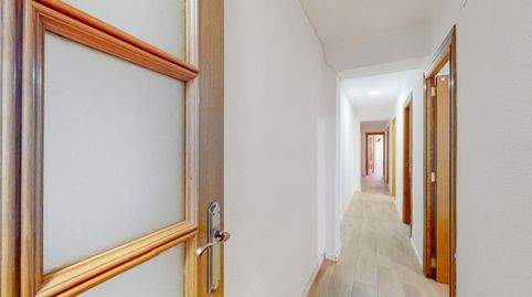 Foto 4 de Habitación en Parque Geólogo José Royo Gómez, Castellón de la Plana / Castelló de la Plana